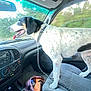 dog, car_interior, seat, leash, window, dashboard, collar, tongue, black_and_white, happy, pet, vehicle, travel, road_trip, seat_cover, bottle, bag, cable, cup_holder