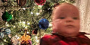 Kaiser joined the competition — help win amazing prizes! baby, blue, blurry, celebration, child, christmas_ornaments, christmas_tree, decorations, festive, green, holiday, indoor, infant, lights, person, pine, plaid, red, winter, young
