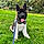 Athos
