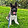 Athos