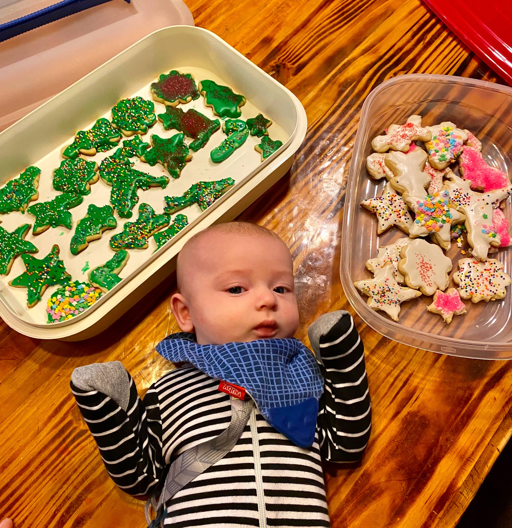 River is registered to the contest to win money with this photo: baby, baby_toddler_clothing, child, christmas_decoration, christmas_eve, event, finger_food, food, green, holiday, ingredient, ornament, pattern, person, plate, recipe, room, table, tableware, toddler