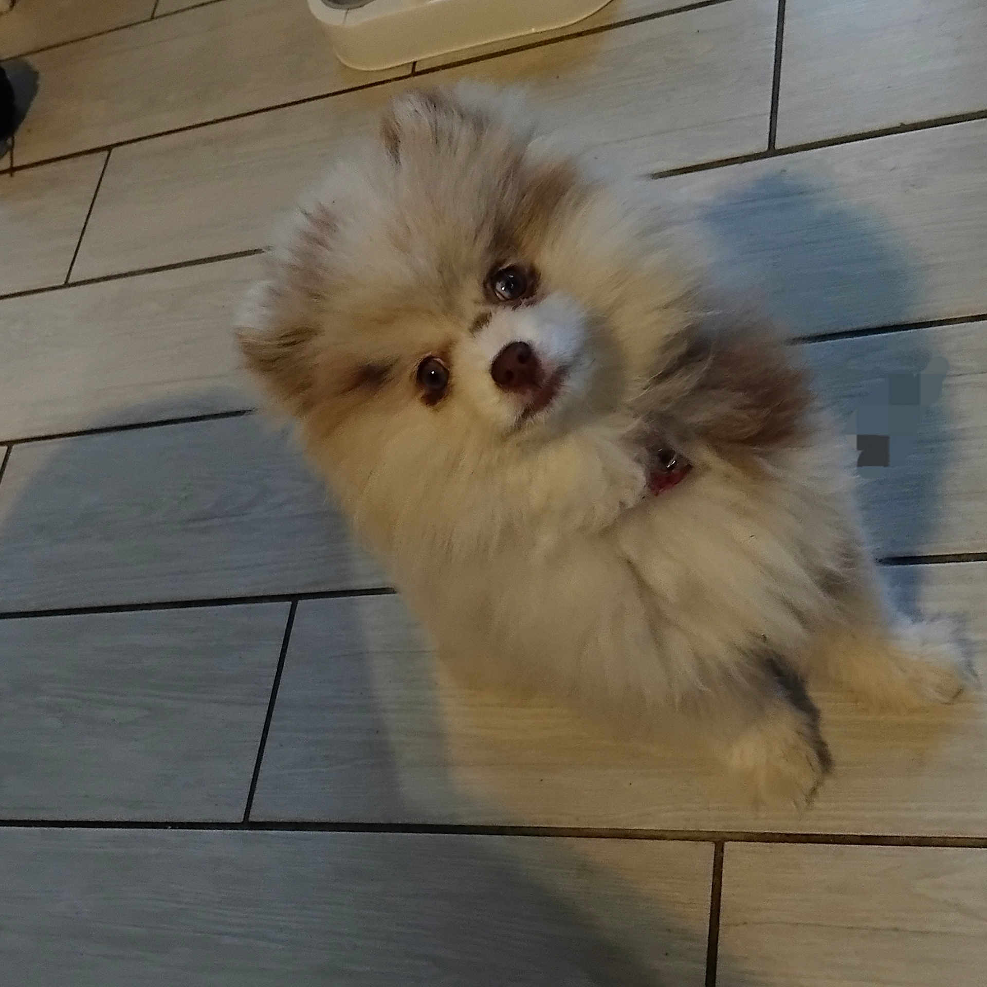 Ayka