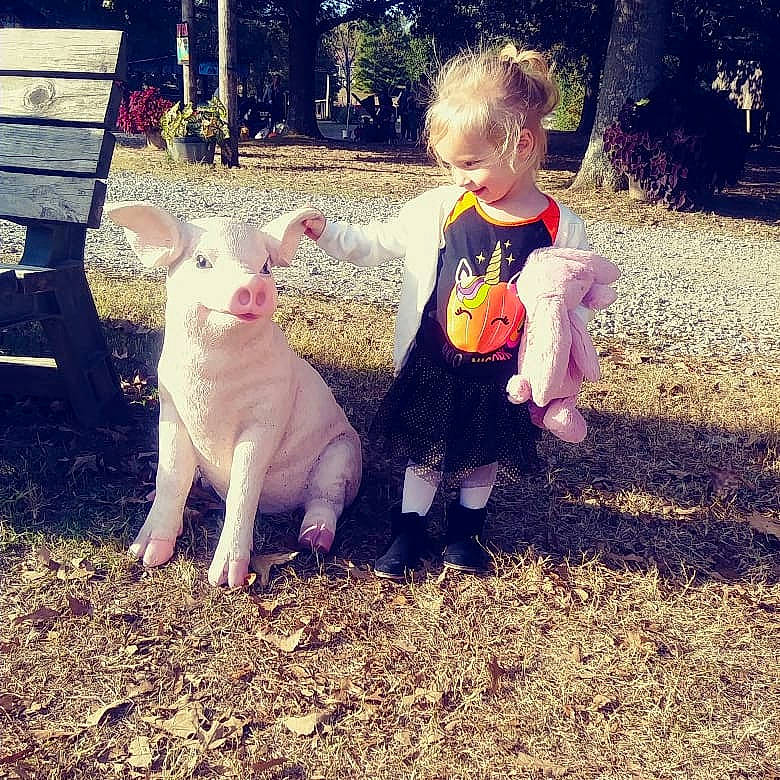 Skyla is registered to the contest to win money with this photo: canidae, child, domestic_pig, ear, fawn, goats, grass, leg, livestock, non_sporting_group, nose, person, plant, play, suidae