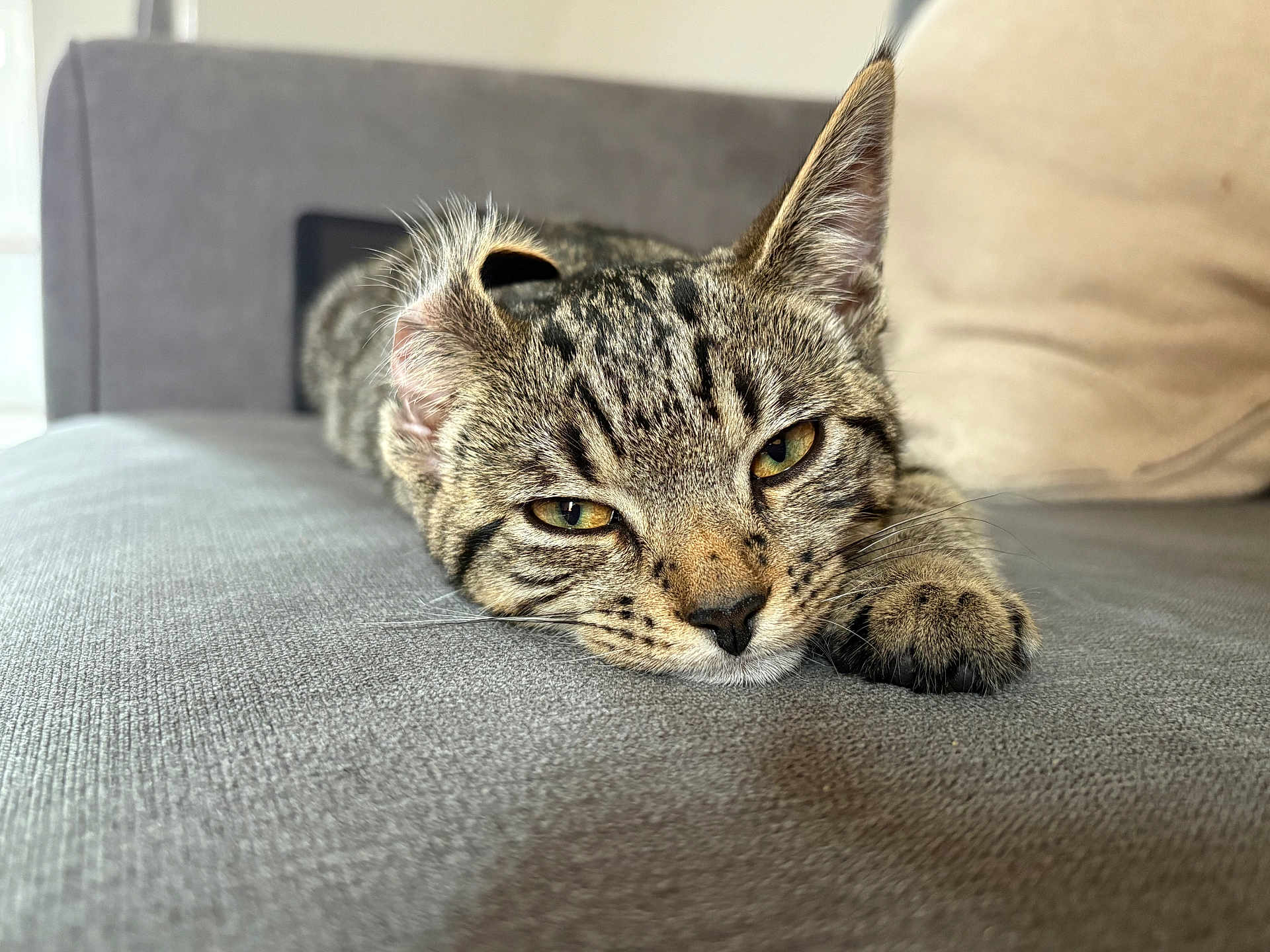 Narla