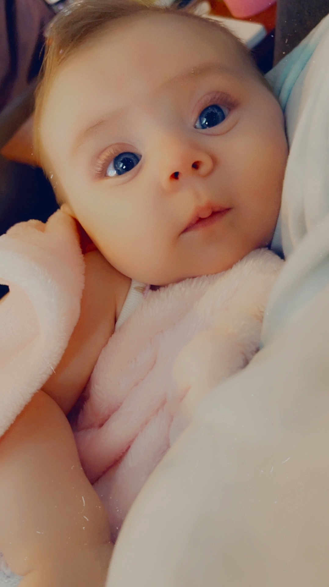 Frankie