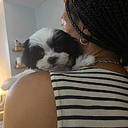 Misha is registered to the contest to win money with this photo: black_and_white, braided_hair, chain_necklace, closeup, companion, curious, cute, dog, earring, face, fur, home, indoor, person, pet, puppy, resting, shoulder, sleeveless_shirt, striped_shirt