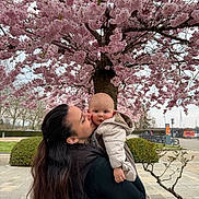 Swann participe au concours pour gagner de l'argent avec cette photo : affection, baby, bicycle_rack, blossom_tree, bush, cherry_blossom, coat, face, flowers, holding, infant, jacket, kiss, mother, outdoor, park, pavement, pink, portrait, spring