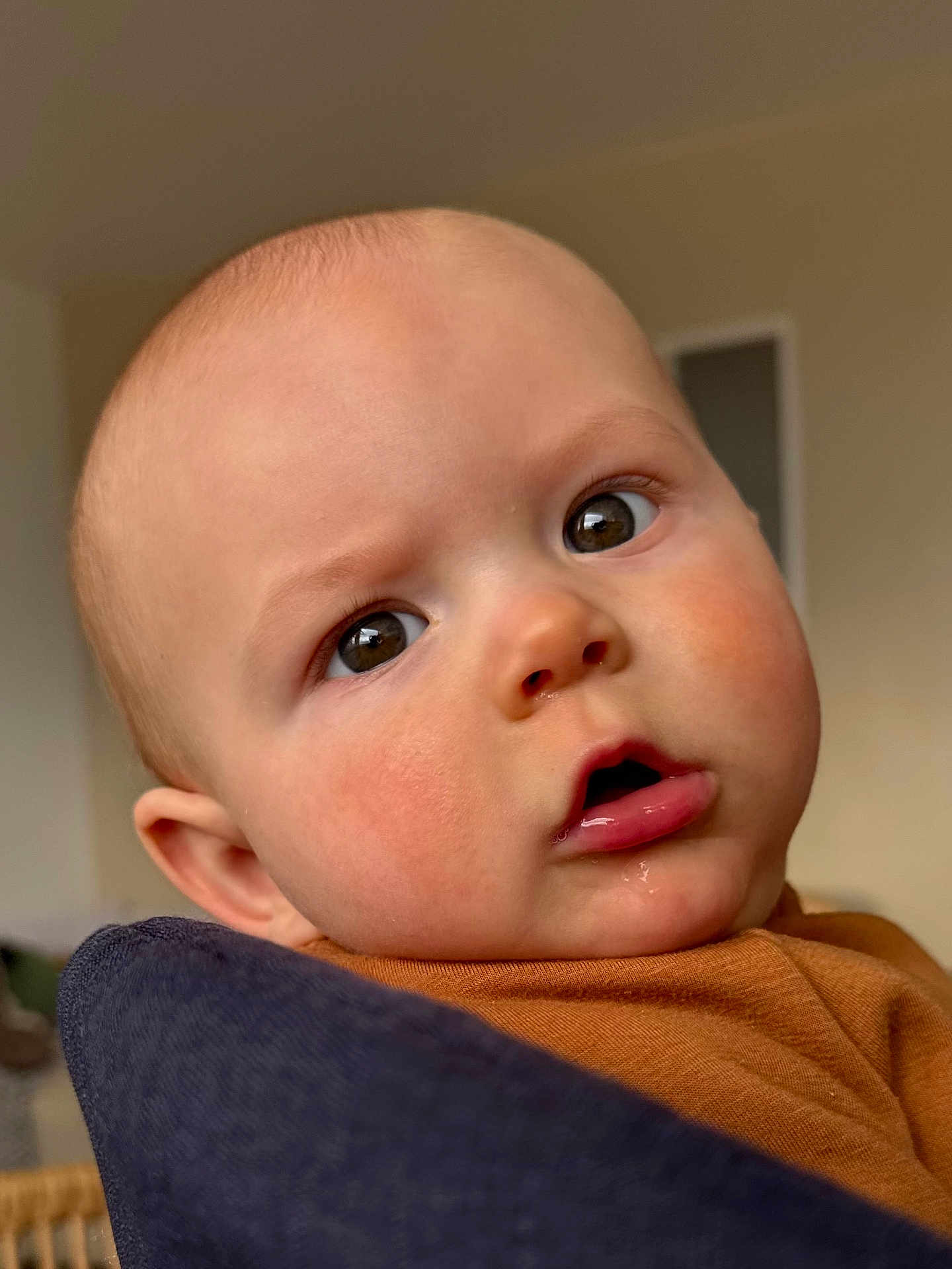 Swann a rejoint le concours — aidez-le/la à gagner de superbes lots ! baby, infant, face, close_up, big_eyes, drool, chubby_cheeks, bald_head, brown_eyes, curious_expression, indoor, portrait, skin, orange_shirt, ear, mouth, eyelashes, high_resolution, candid, person