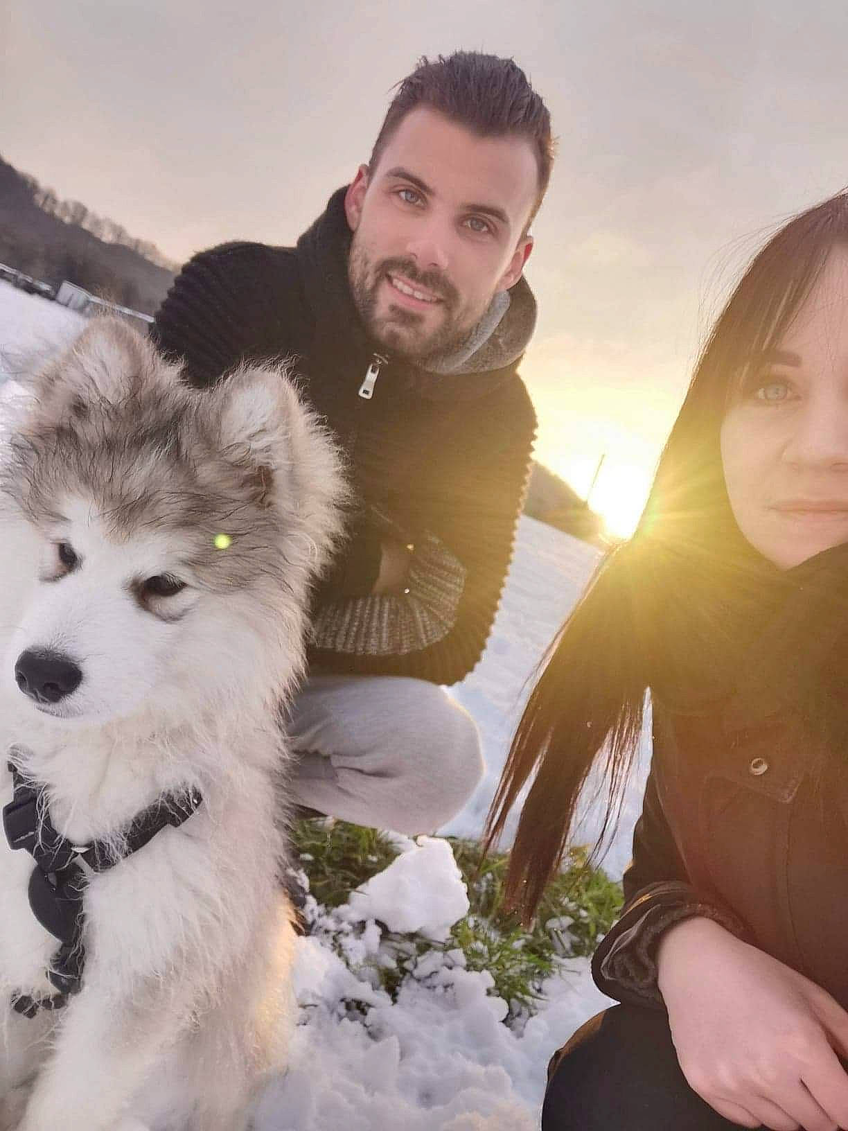 Rio a rejoint le concours — aidez-le/la à gagner de superbes lots ! beard, carnivore, companion_dog, dog, dog_breed, freezing, fun, fur, gesture, happy, head, landscape, lens_flare, people_in_nature, sled_dog, snow, spitz, wilderness, winter, wolf