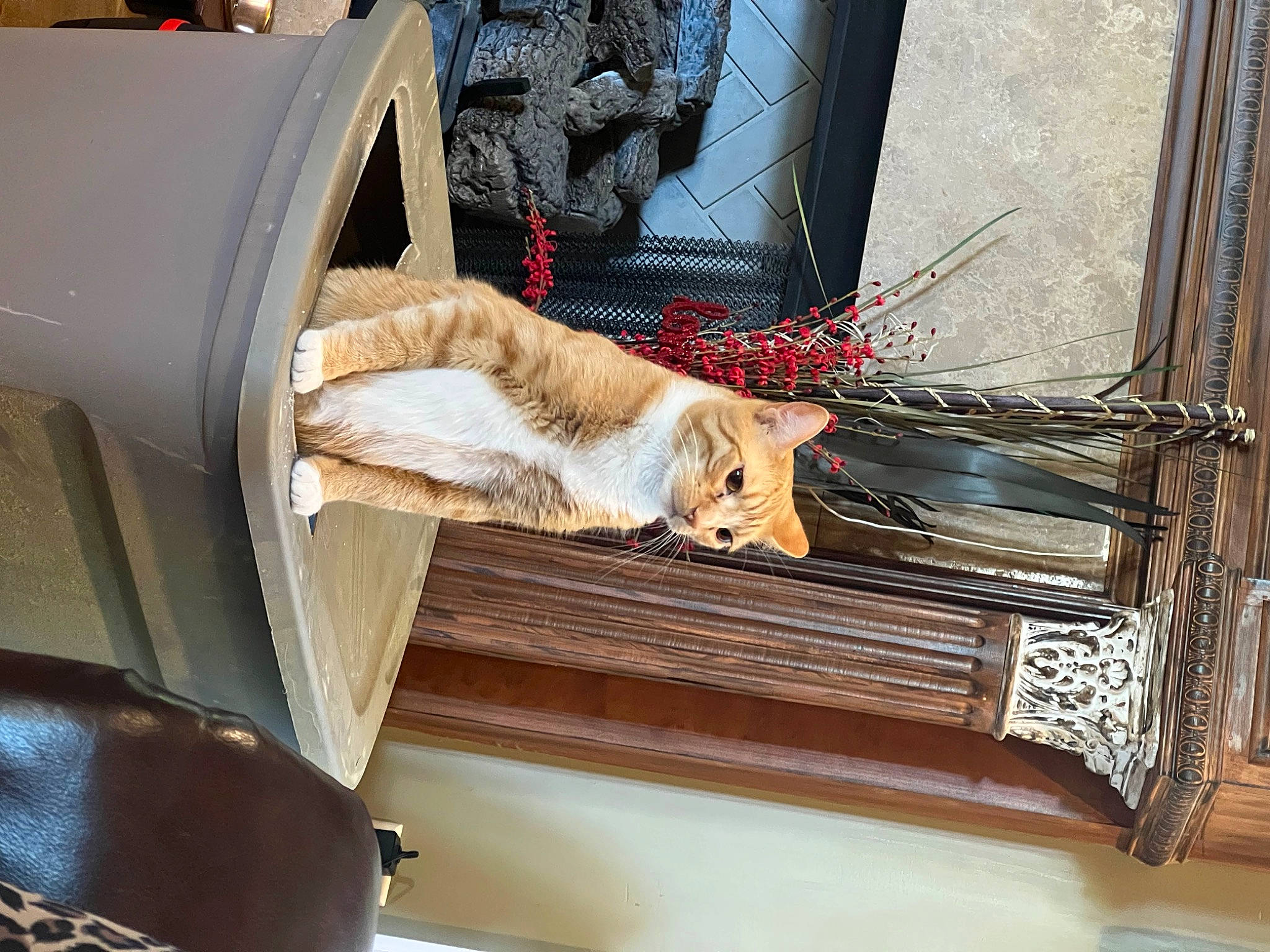 Cheesepuff is registered to the contest to win money with this photo: art, auto_part, cat, felidae, fur, glass, hardwood, machine, mammal, picture_frame, room, sculpture, small_to_medium_sized_cats, sporting_group, tail, vehicle, visual_arts, whiskers, window, wood