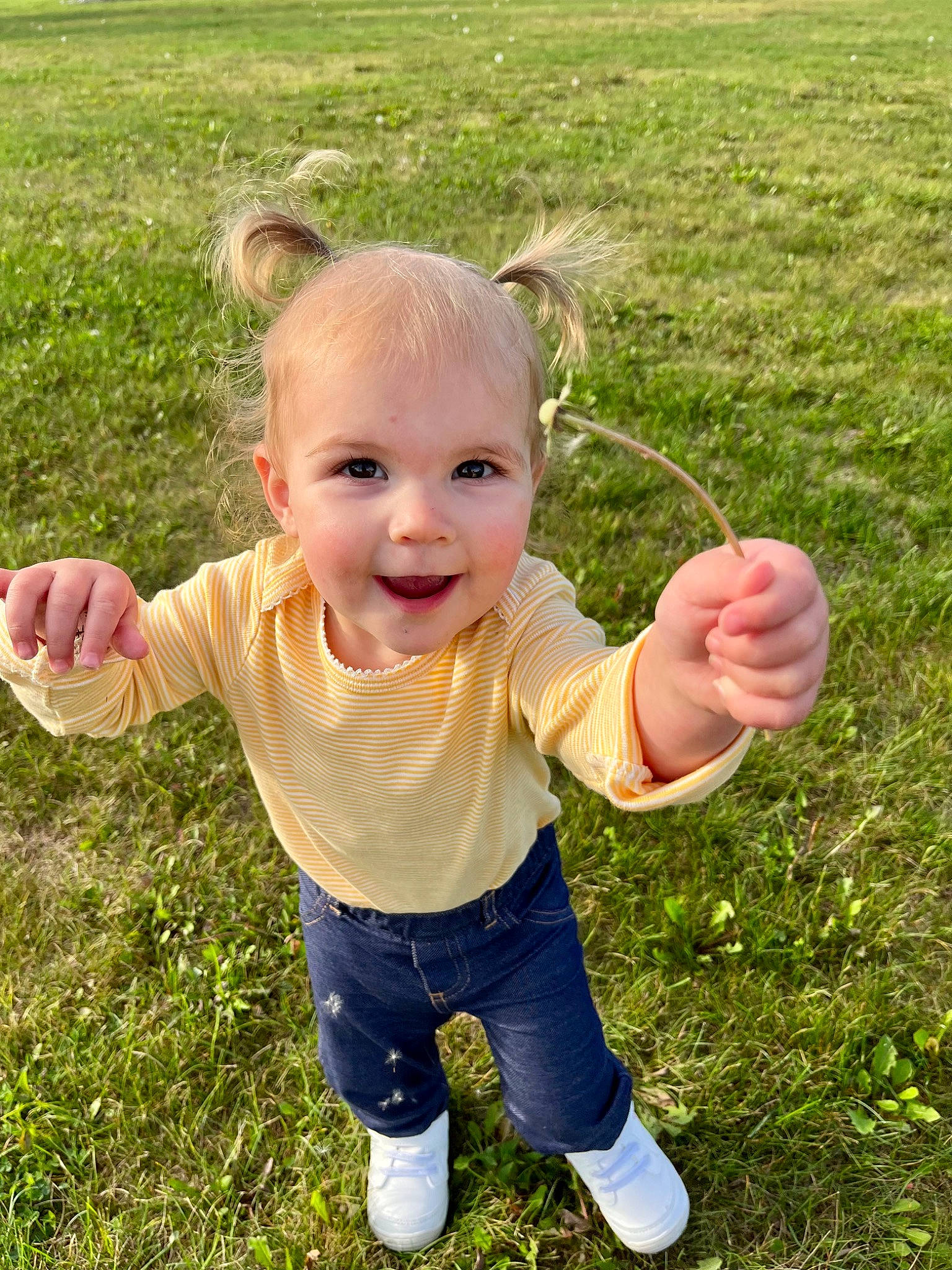 Kinsley is registered to the contest to win money with this photo: baby, baby_toddler_clothing, child, finger, fun, gesture, grass, grass_family, grassland, hand, happy, joy, lawn, mammal, meadow, people_in_nature, person, plant, sleeve, smile