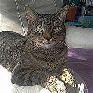 Grignotte participe au concours pour gagner de l'argent avec cette photo :