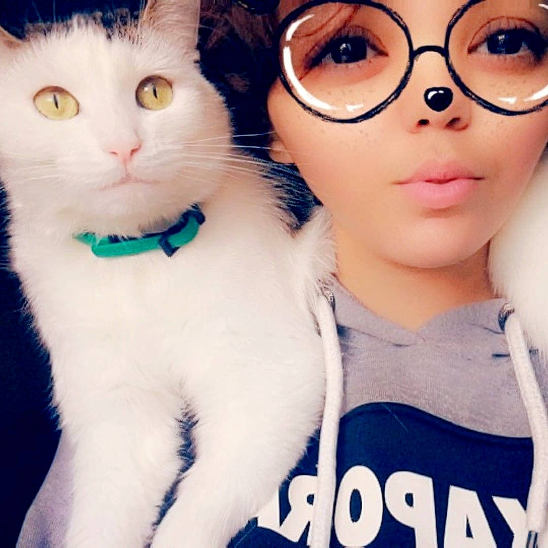 Chanel a rejoint le concours — aidez-le/la à gagner de superbes lots ! cat, cool, eye, eyebrow, eyewear, face, felidae, fur, glasses, head, lip, nose, organ, person, photo_caption, photography, selfie, skin, small_to_medium_sized_cats, vision_care