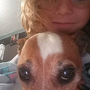 Bandit a rejoint le concours — aidez-le/la à gagner de superbes lots ! dog, face, person, glasses, curly_hair, indoor, selfie, close_up, brown_dog, white_marking, eyes, portrait, casual, smile, human, pet, cozy, blanket, wall, photo