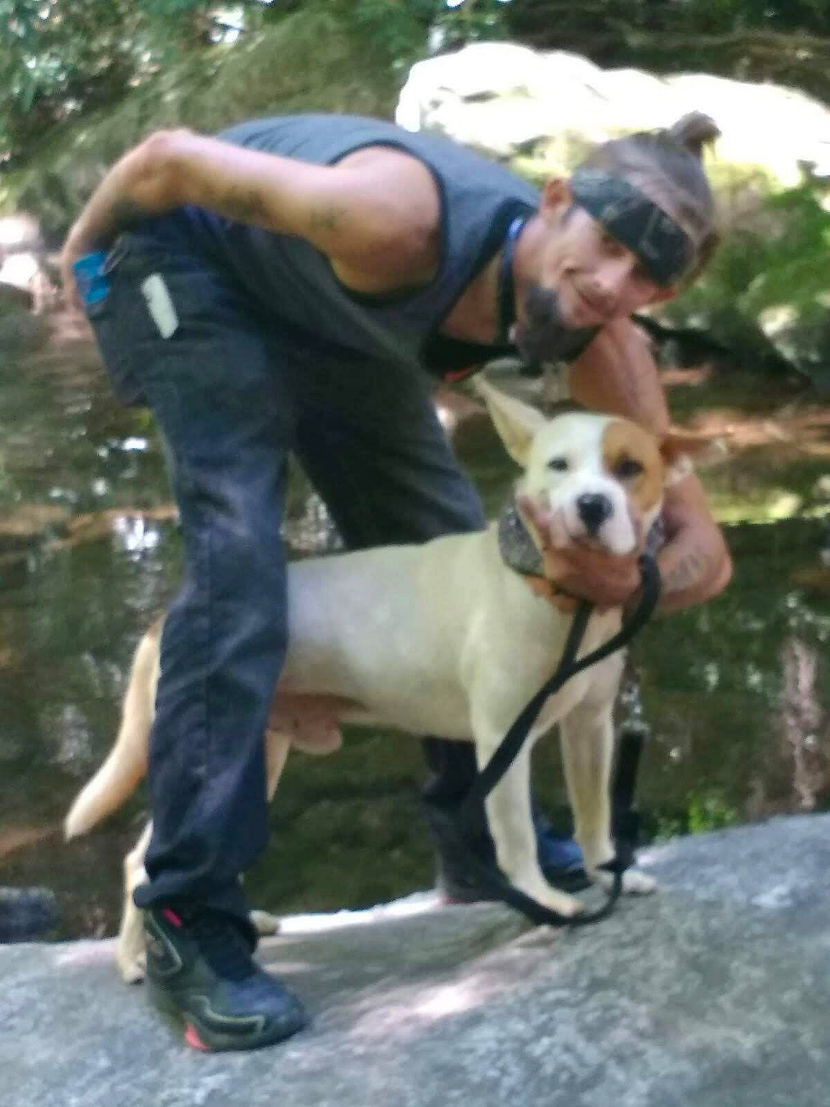 Gatorade is registered to the contest to win money with this photo: adventure, animal_sports, canidae, carnivore, companion_dog, dog, dog_breed, dog_hiking, dog_walking, fawn, hat, leash, leisure, plant, recreation, sporting_group, tree, walking, working_animal, working_dog