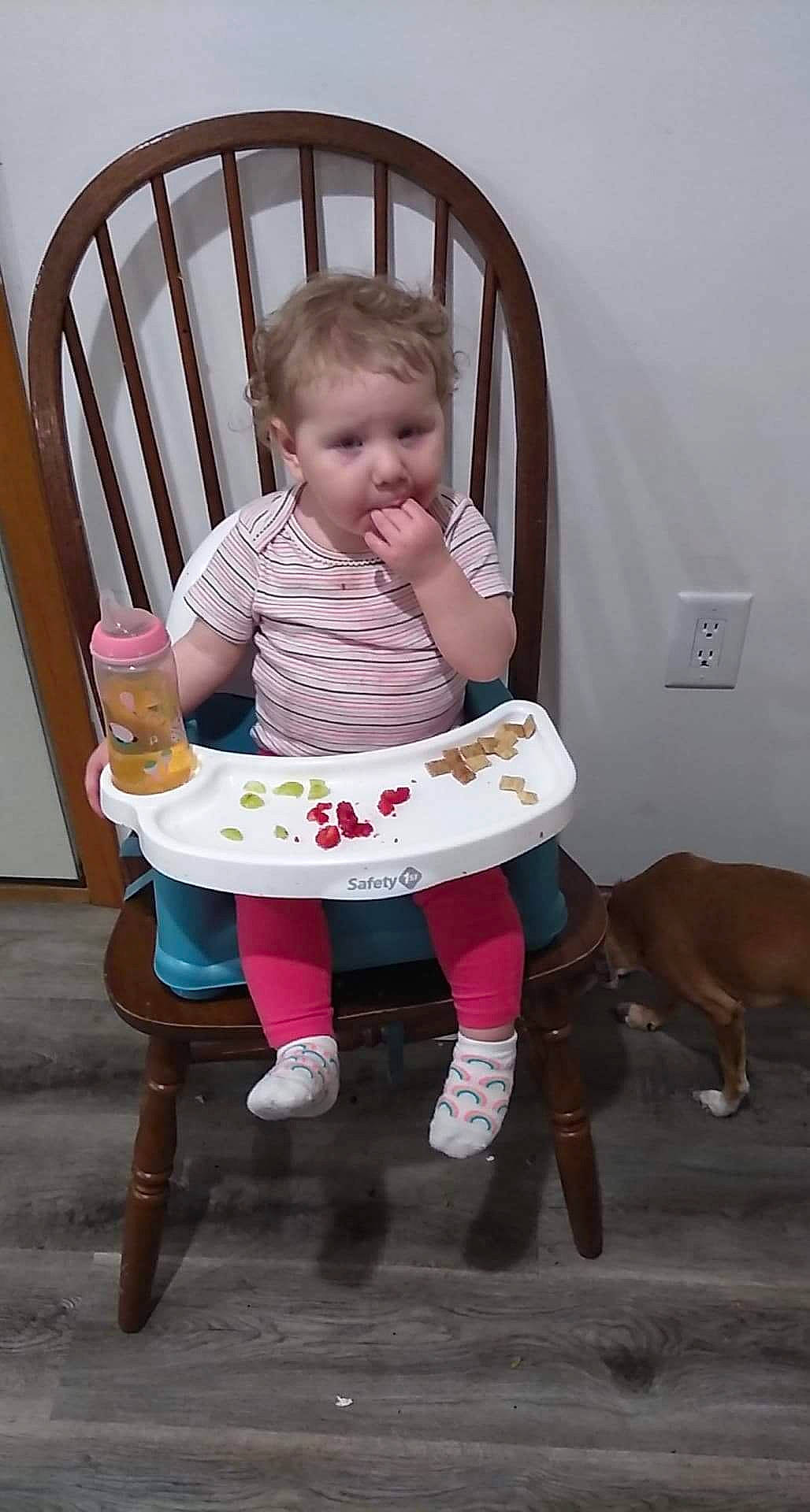 Addilynn joined the competition — help win amazing prizes! baby, baby_products, baby_toddler_clothing, carnivore, chair, child, comfort, companion_dog, dog, fun, lap, magenta, outdoor_furniture, person, pink, room, sitting, sock, toddler, working_animal