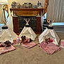 blanket, carpet, cozy, curtains, cute, decor, dog, fireplace, furniture, indoor, living_room, milkshake, pajamas, pet, popcorn, relaxing, small_dog, table, teepee, window