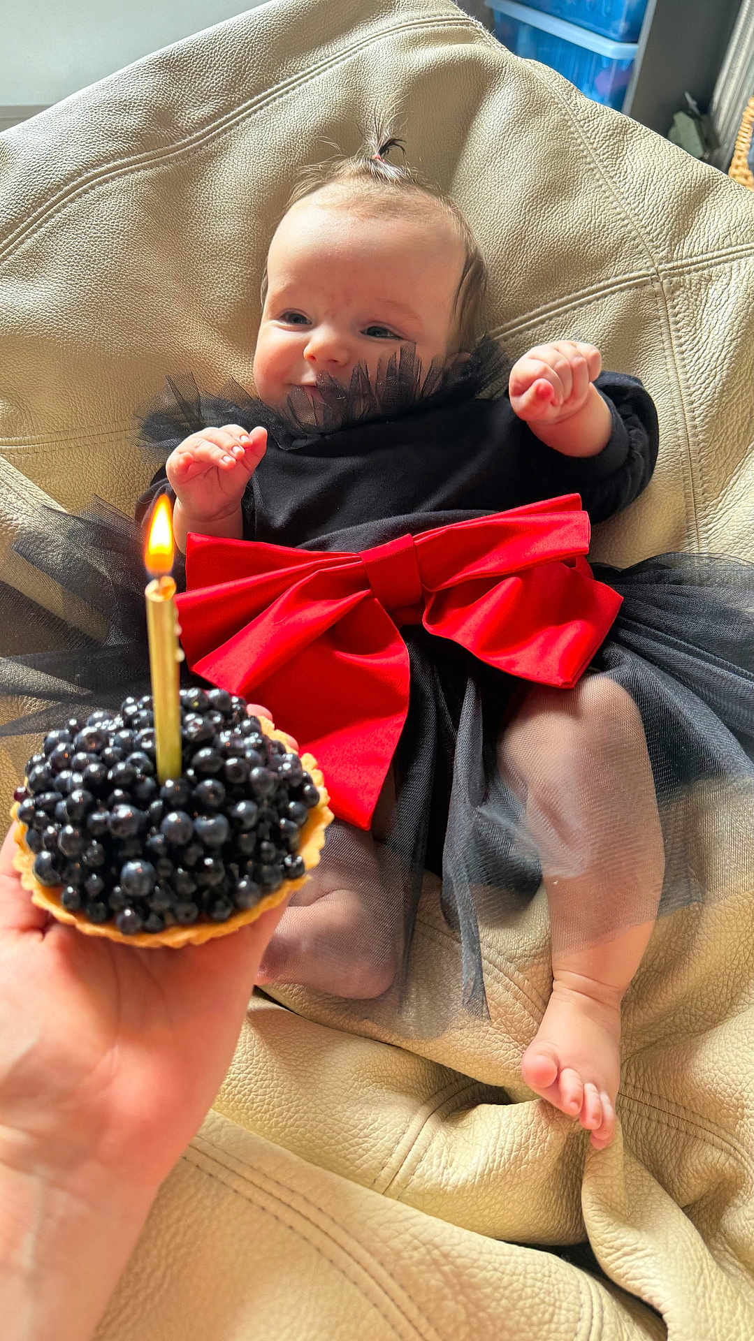 Aria participe au concours pour gagner de l'argent avec cette photo : baby, black_dress, red_bow, candle, blackberries, tart, hand, leather_couch, celebration, birthday, smiling, infant, sitting, cute, indoors, tulle_skirt, foot, skin, happy, portrait