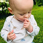 Pryam participe au concours pour gagner de l'argent avec cette photo : toddler, child, outdoor, grass, greenery, shirt, dinosaur_pattern, hand, thumb_sucking, curious, close_up, nature, baby, long_eyelashes, young_child, casual_clothing, portrait, soft_light, garden, cute