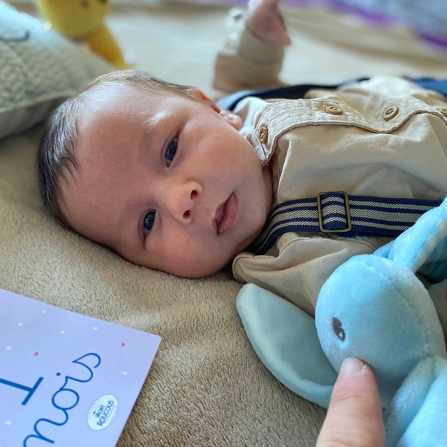 Naël participe au concours pour gagner de l'argent avec cette photo : baby, bed, blanket, bodypart, cushion, face, finger, furniture, hand, happy, head, homedecor, newborn, person, photography, portrait, quilt, sleeping, smile, toy