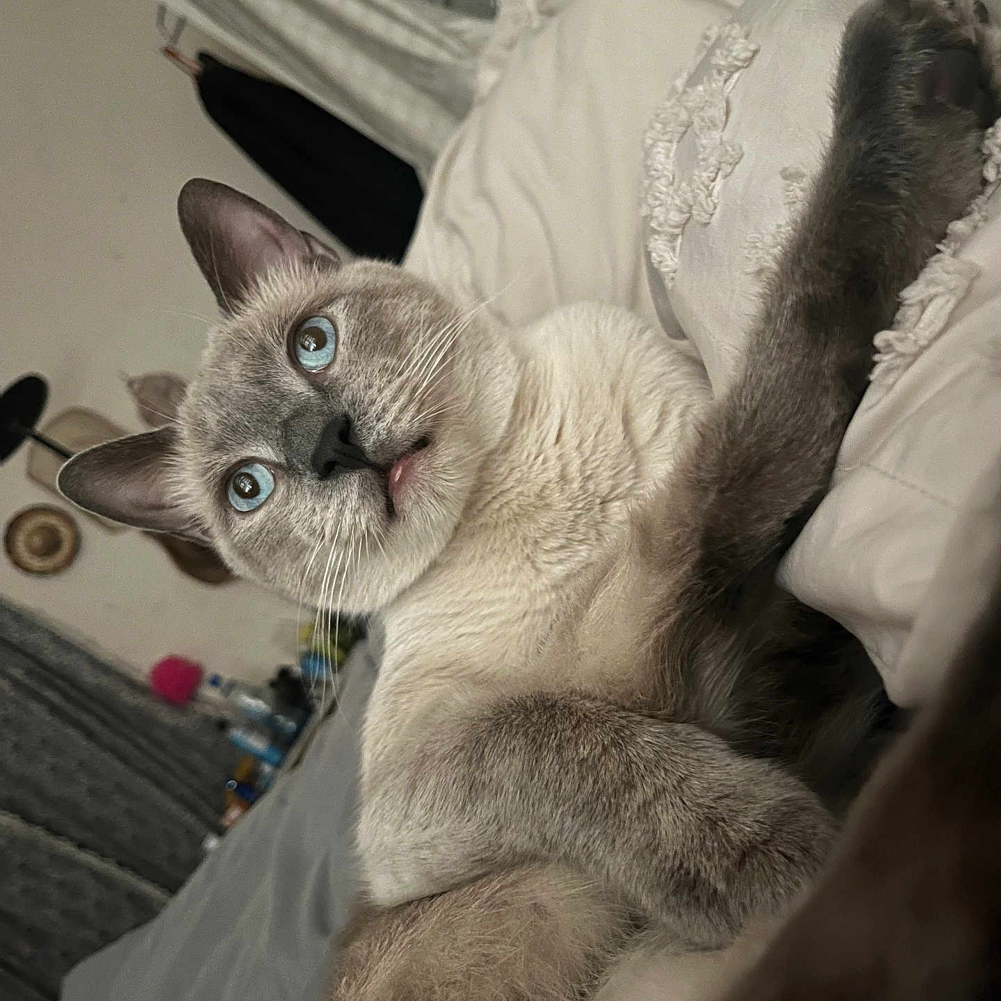 Coco