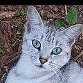 Sabrina S.