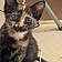 Cleo