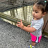casual_clothing, child, curious, daylight, earrings, exploration, fence, footwear, girl, gravel, gray_shirt, hair_ties, outdoor, person, shorts, socks, standing, toddler, wire_fence, young_child