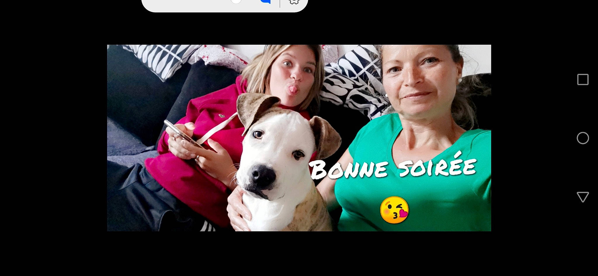 Taycan participe au concours pour gagner de l'argent avec cette photo : advertising, beauty, canidae, carnivore, companion_dog, dog, dog_breed, electronic_device, event, flash_photography, font, gadget, giant_dog_breed, happy, photo_caption, photograph, smile, snapshot, sporting_group, t_shirt