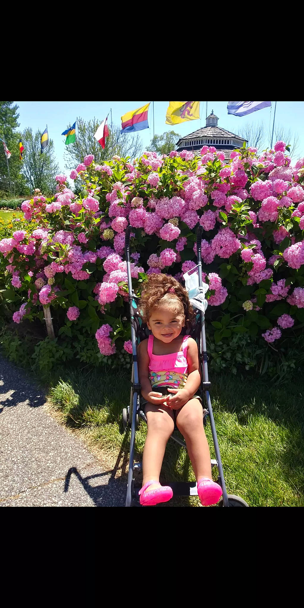 Meyah joined the competition — help win amazing prizes! flower, flowering_plant, grass, happy, joy, leisure, magenta, people_in_nature, person, petal, pink, plant, public_space, rose, shorts, shrub, sky, smile, tire, toddler