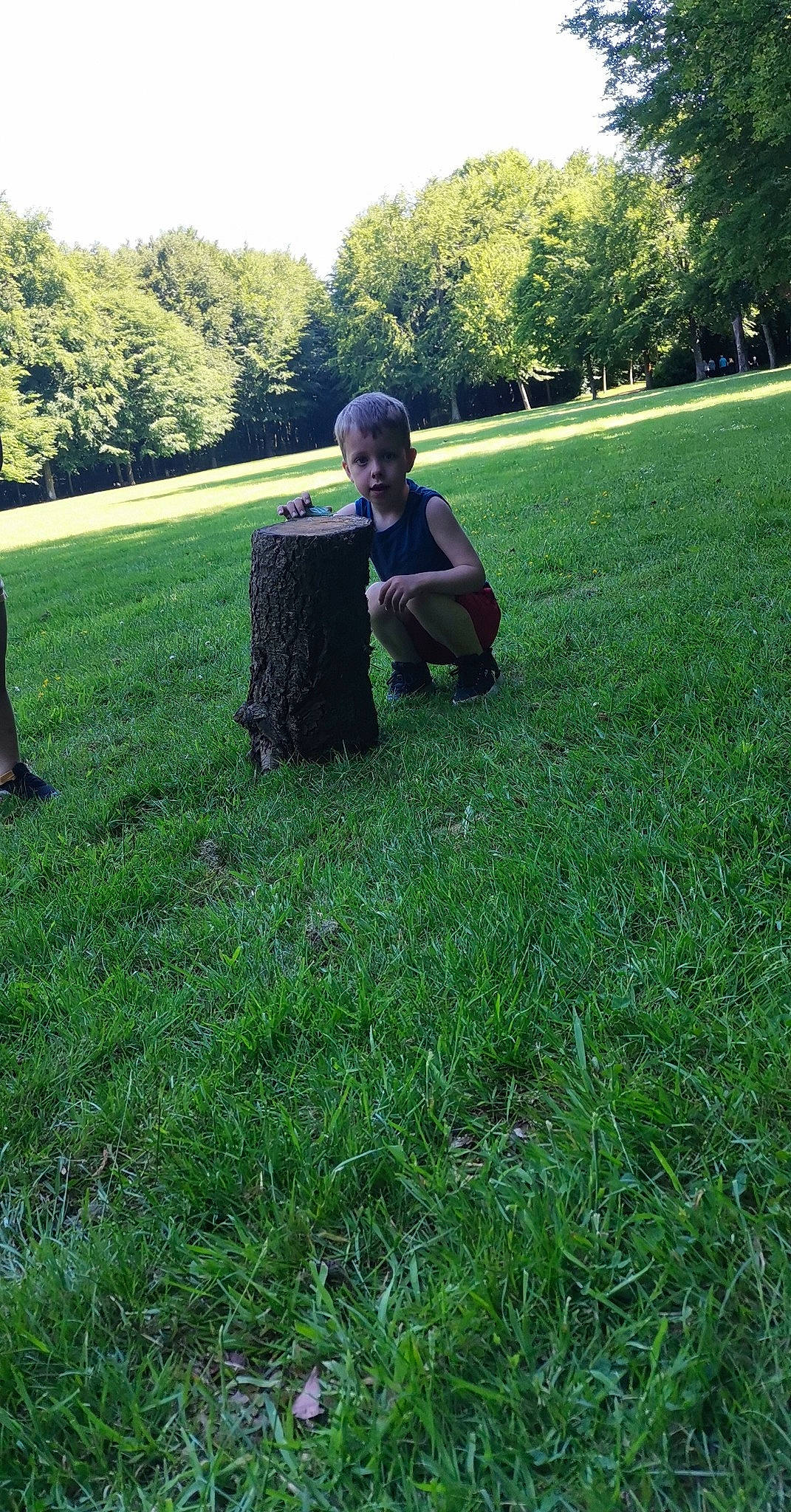 Louness participe au concours pour gagner de l'argent avec cette photo : fun, grass, grass_family, grassland, green, groundcover, happy, landscape, landscaping, lawn, leisure, meadow, pasture, people_in_nature, person, plant, recreation, shrub, soil, tints_and_shades