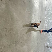 Toretto a rejoint le concours — aidez-le/la à gagner de superbes lots ! beach, concrete, fun, grey, landscape, leisure, plaster, recreation, sand, shadow, water, wave, wind_wave, wood