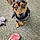 Jaxson