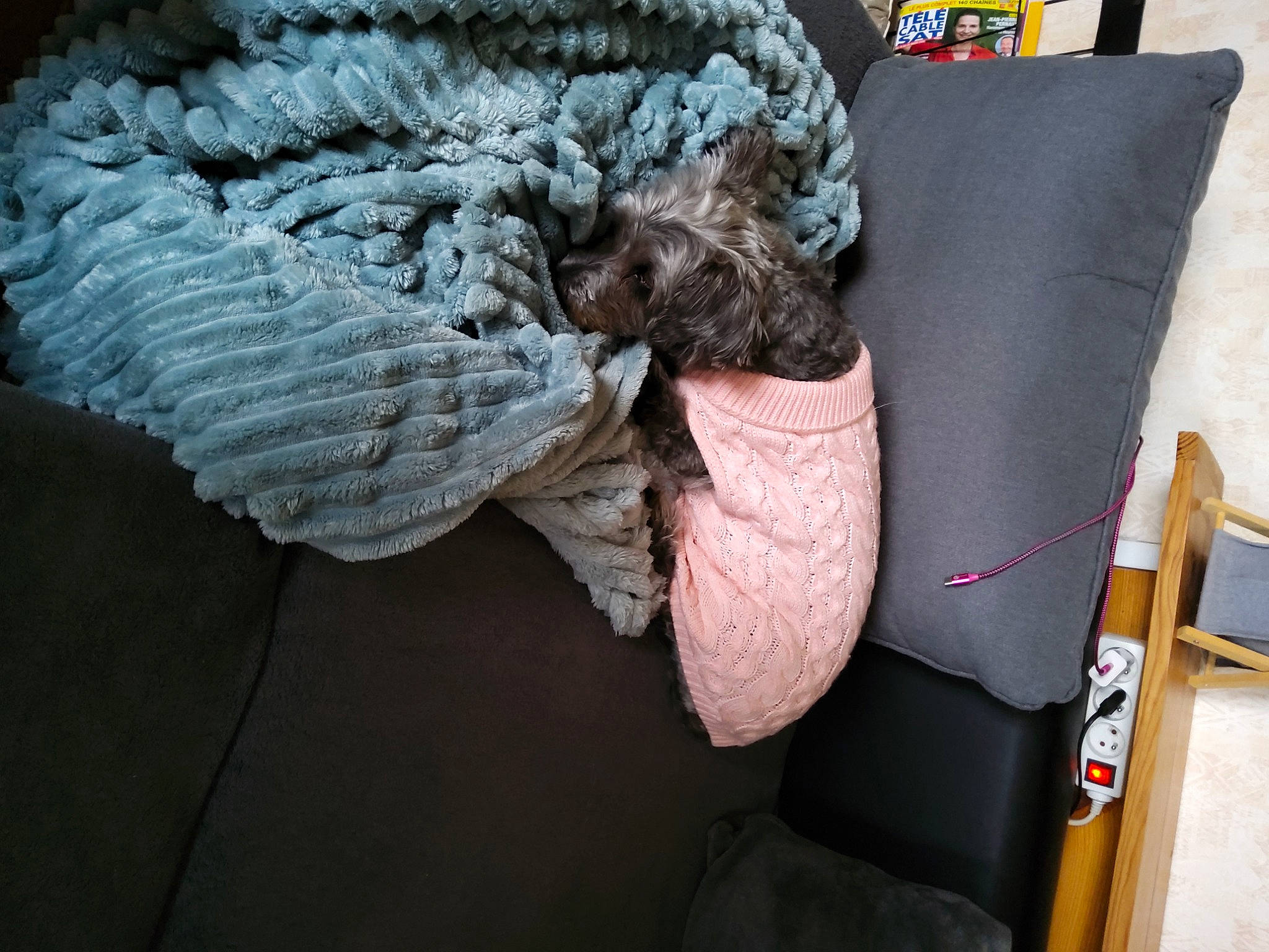 Bouboune participe au concours pour gagner de l'argent avec cette photo : comfort, couch, crochet, denim, fashion_accessory, feather, flooring, fur, glove, human_leg, knitting, linens, pattern, room, sitting, thread, wood, wool, woolen, woven_fabric