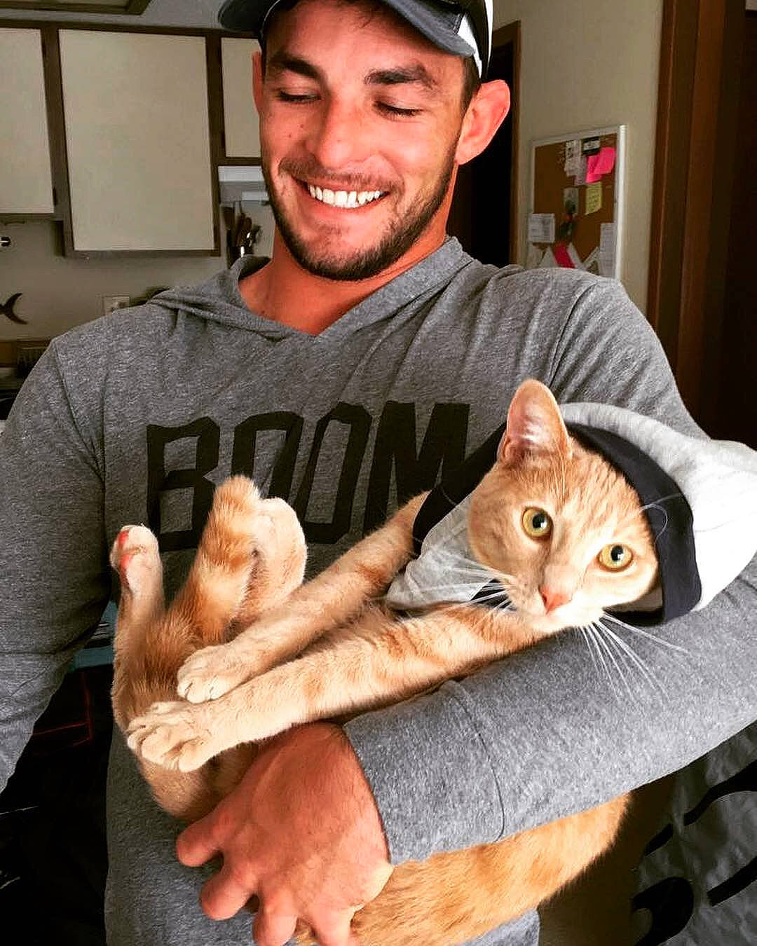 Benny joined the competition — help win amazing prizes! arm, carnivoran, cat, cat_like_mammal, facial_hair, finger, hand, joy, kitten, leg, mammal, person, small_to_medium_sized_cats, vertebrate, whiskers