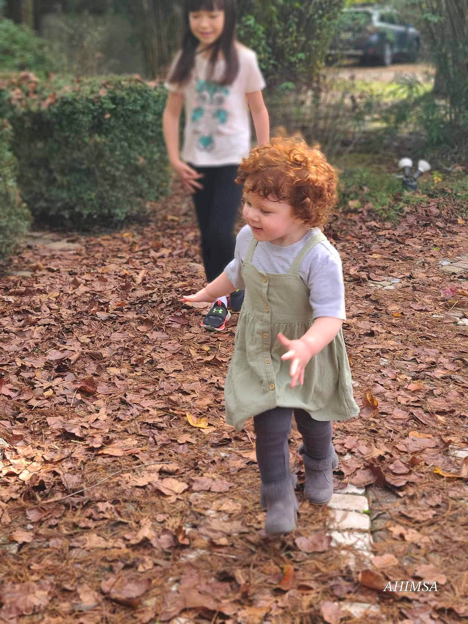 Adalyn is registered to the contest to win money with this photo: child, forest, fun, gesture, grass, happy, hat, joy, leg, leisure, nature, people_in_nature, person, plant, recreation, shoe, t_shirt, toddler, trail, tree