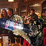 animal, bar, bartender, beer, bottle, celebration, dog, drink, friends, funny, glasses, indoor, laughing, nightlife, party, people, pet, red_sofa, social, table