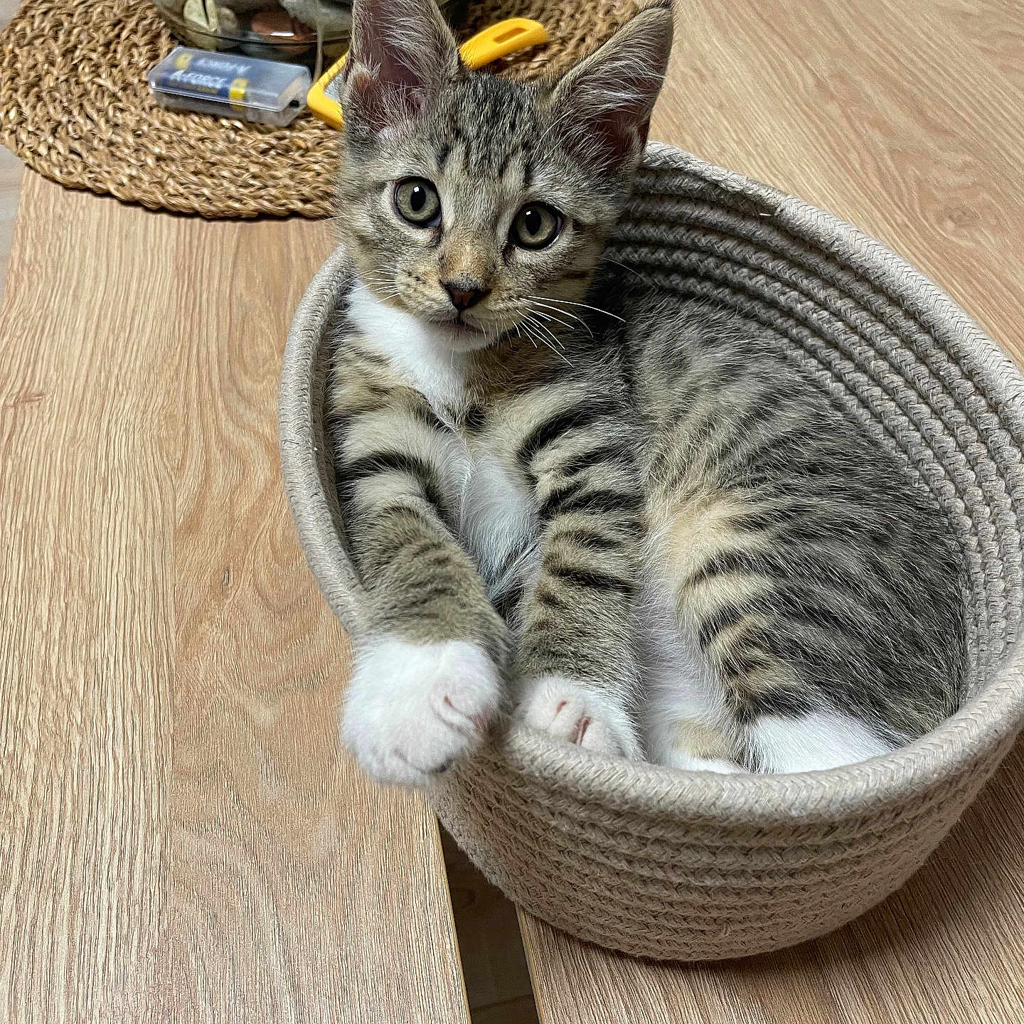 Milo