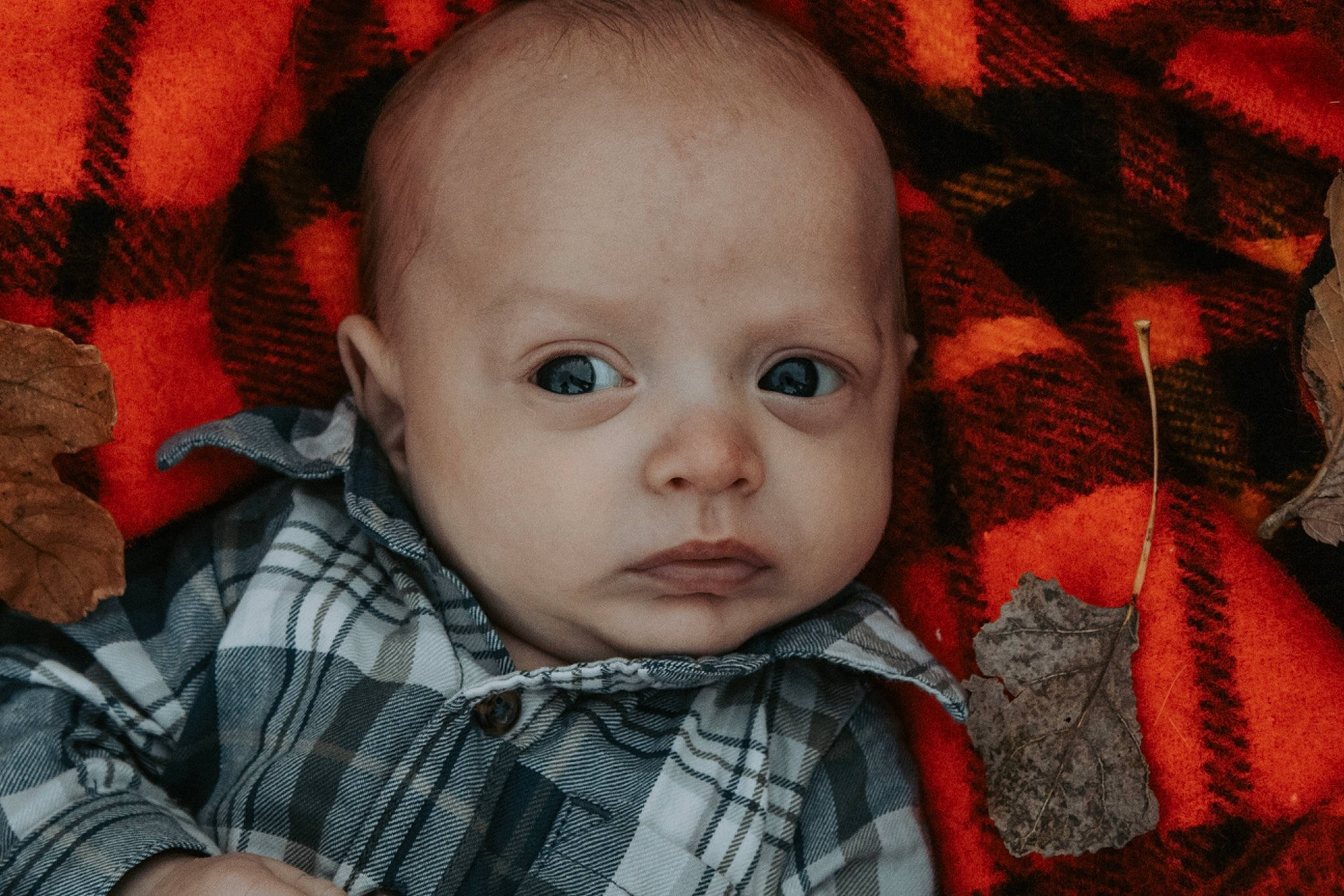 Braxton is registered to the contest to win money with this photo: baby, baby_toddler_clothing, brown, cheek, chin, clothing, dress, eyelash, flash_photography, hair, head, iris, lip, mouth, nose, orange, outerwear, person, skin, textile