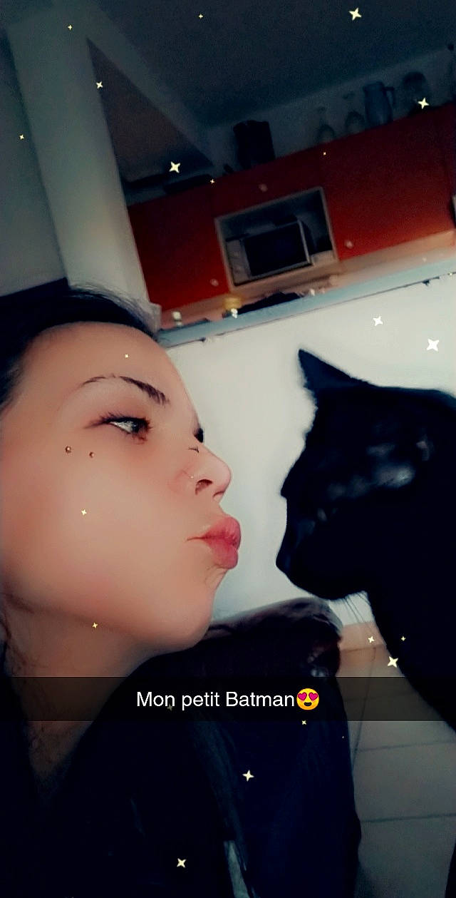 Batman participe au concours pour gagner de l'argent avec cette photo : art, black_hair, ear, electric_blue, eyebrow, eyelash, eyewear, felidae, flash_photography, gesture, happy, headgear, jaw, lip, long_hair, mouth, neck, selfie, shoulder, small_to_medium_sized_cats