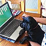person, dog, puppy, laptop, computer, table, chair, indoor, game, solitaire, black_dog, pet, curious, technology, wooden_table, glasses, hand, collar, casual_clothing, playing