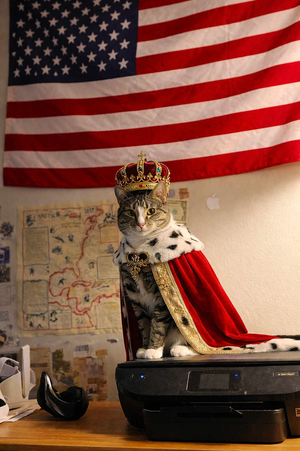 Luna Loveface joined the competition — help win amazing prizes! cat, tabby_cat, crown, cape, printer, american_flag, map, indoor, furniture, table, decor, pet, animal, portrait, costume, royalty, seated, whiskers, fur, cute
