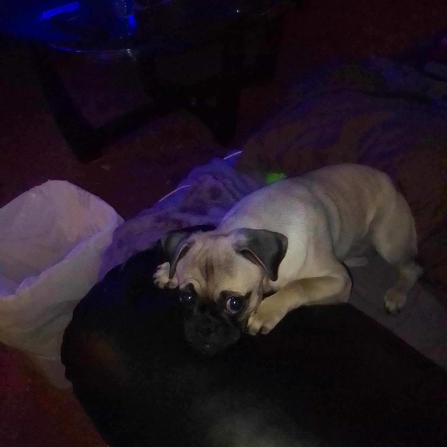 Mamas
