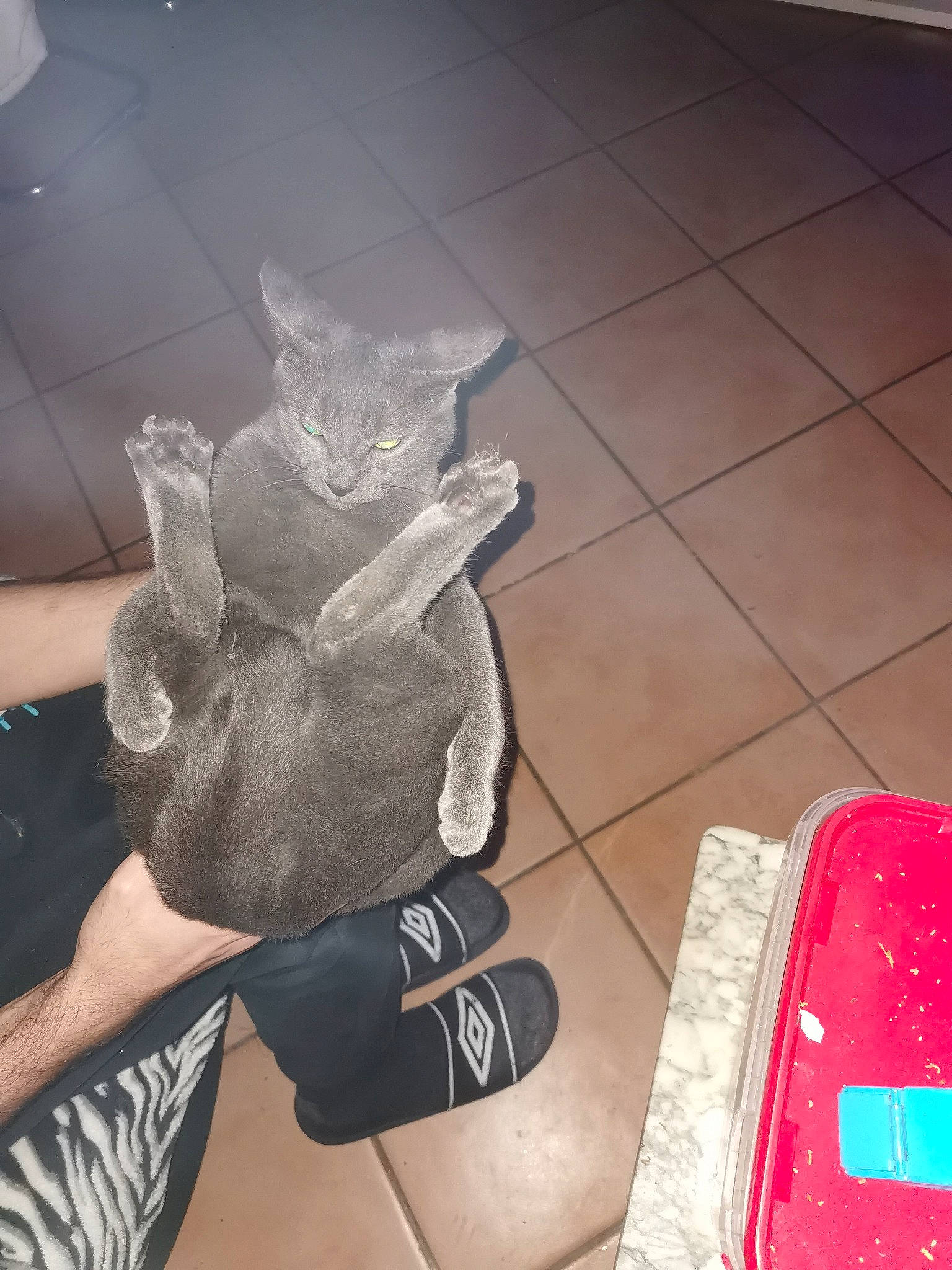 Wiskhy participe au concours pour gagner de l'argent avec cette photo : art, boot, carmine, comfort, fashion_accessory, flooring, foot, fur, gesture, glove, human_leg, knee, nail, personal_protective_equipment, sitting, sleeve, sportswear, thigh, visual_arts, wrist