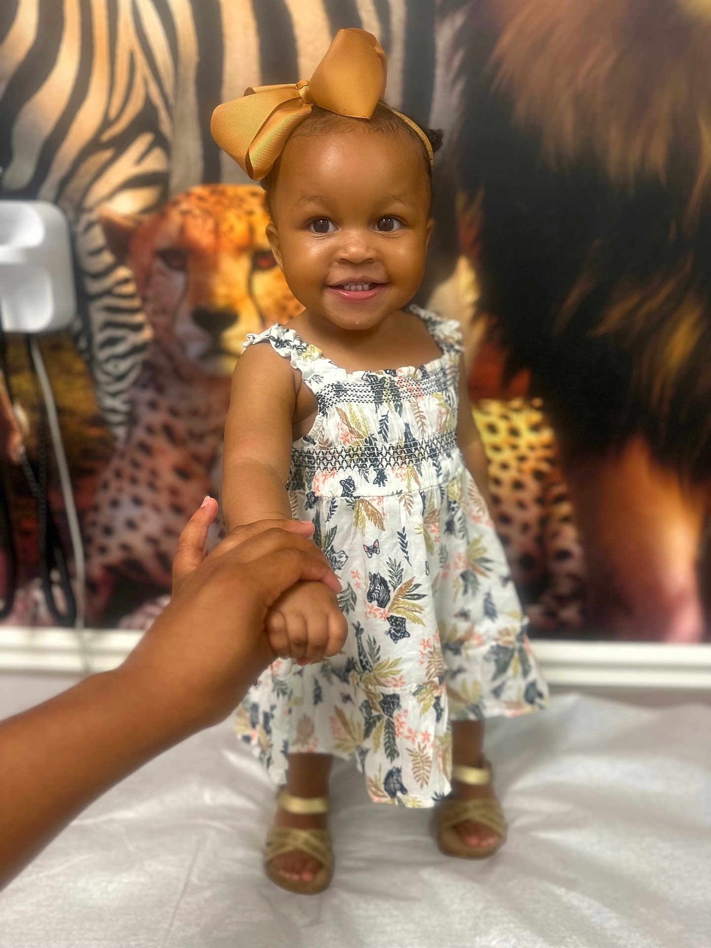 Milani is registered to the contest to win money with this photo: toddler, child, smile, holding_hand, dress, bow, headband, footwear, sandal, indoor, animal_print, background, zebra, cheetah, person, portrait, happy, standing, baby, cute
