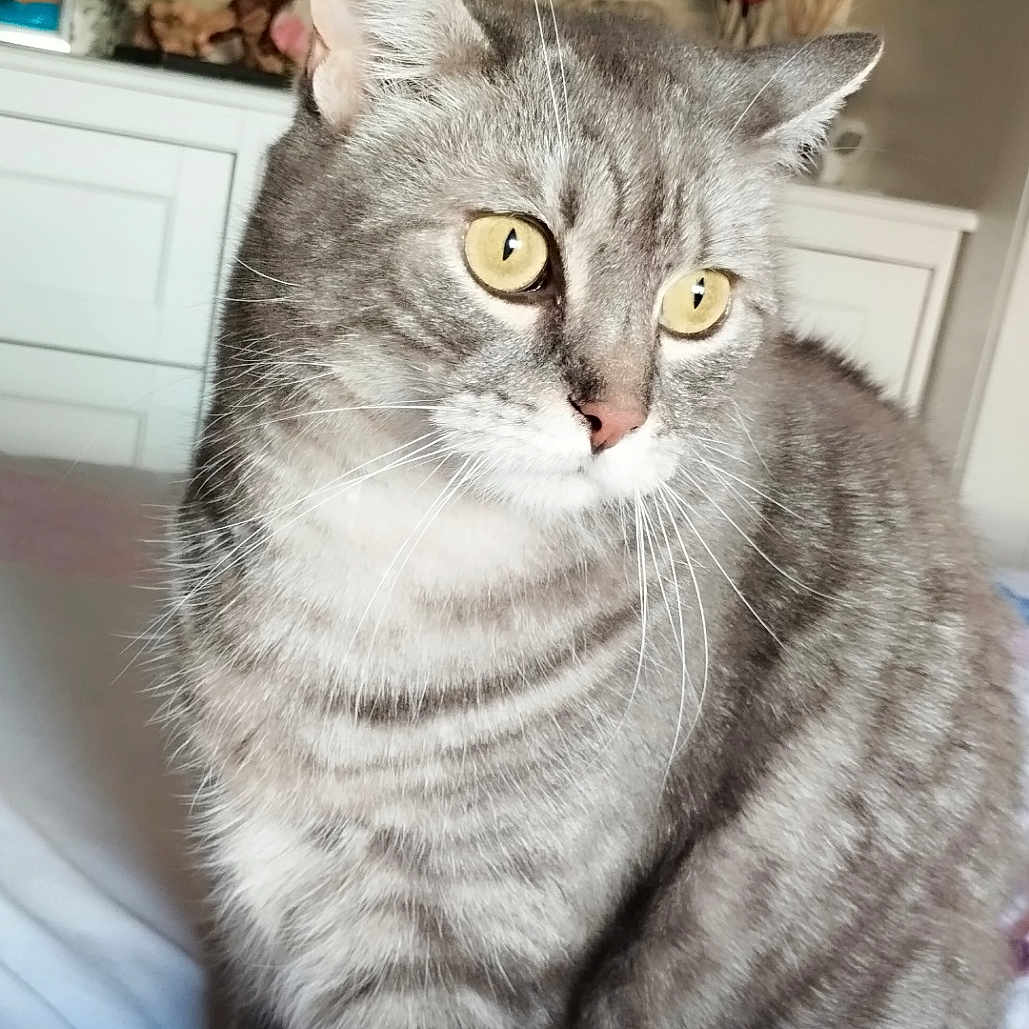 Mayki