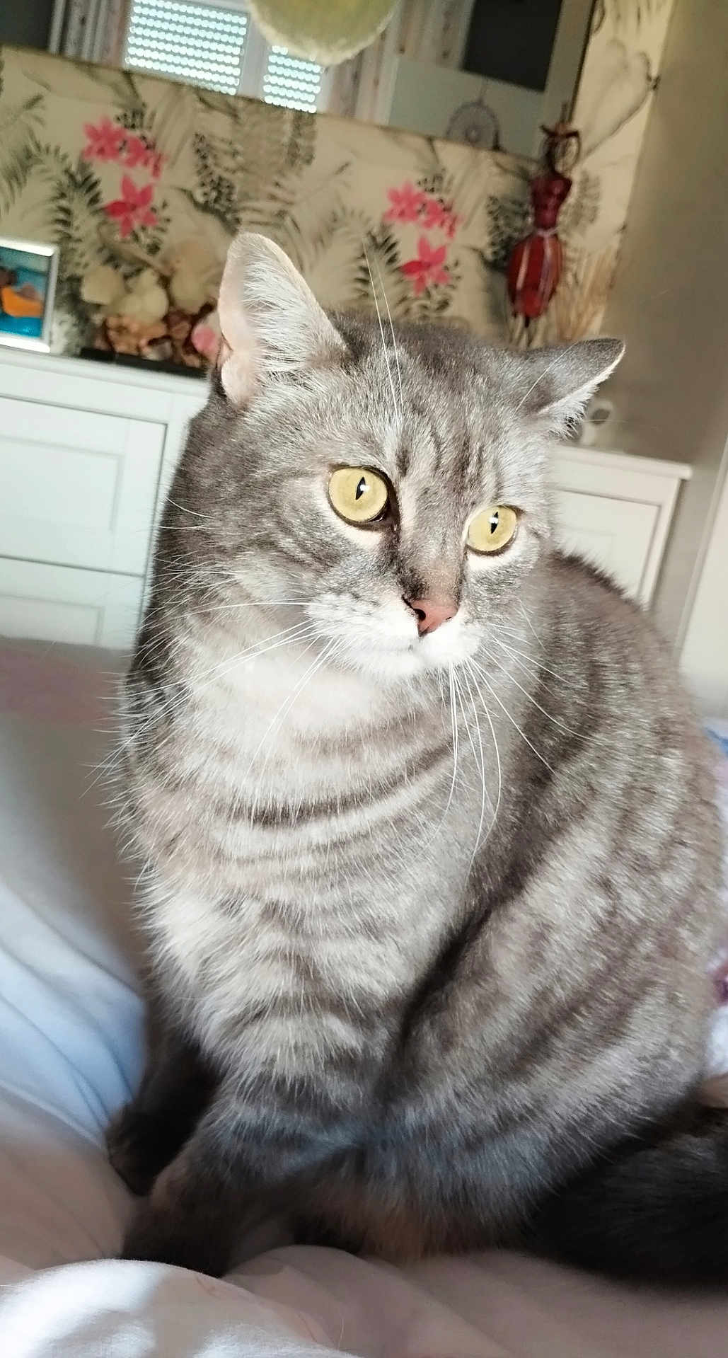 Mayki