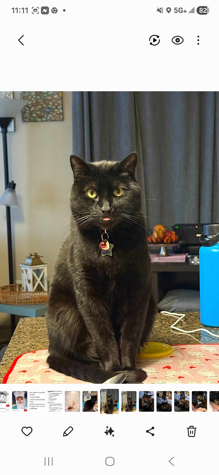Binx joined the competition — help win amazing prizes! cat, black_cat, pet, animal, tongue_out, collar, tag, sitting, countertop, kitchen, table_mat, curtain, lamp, lantern, water_bottle, bowl, indoor, portrait, whiskers, green_eyes