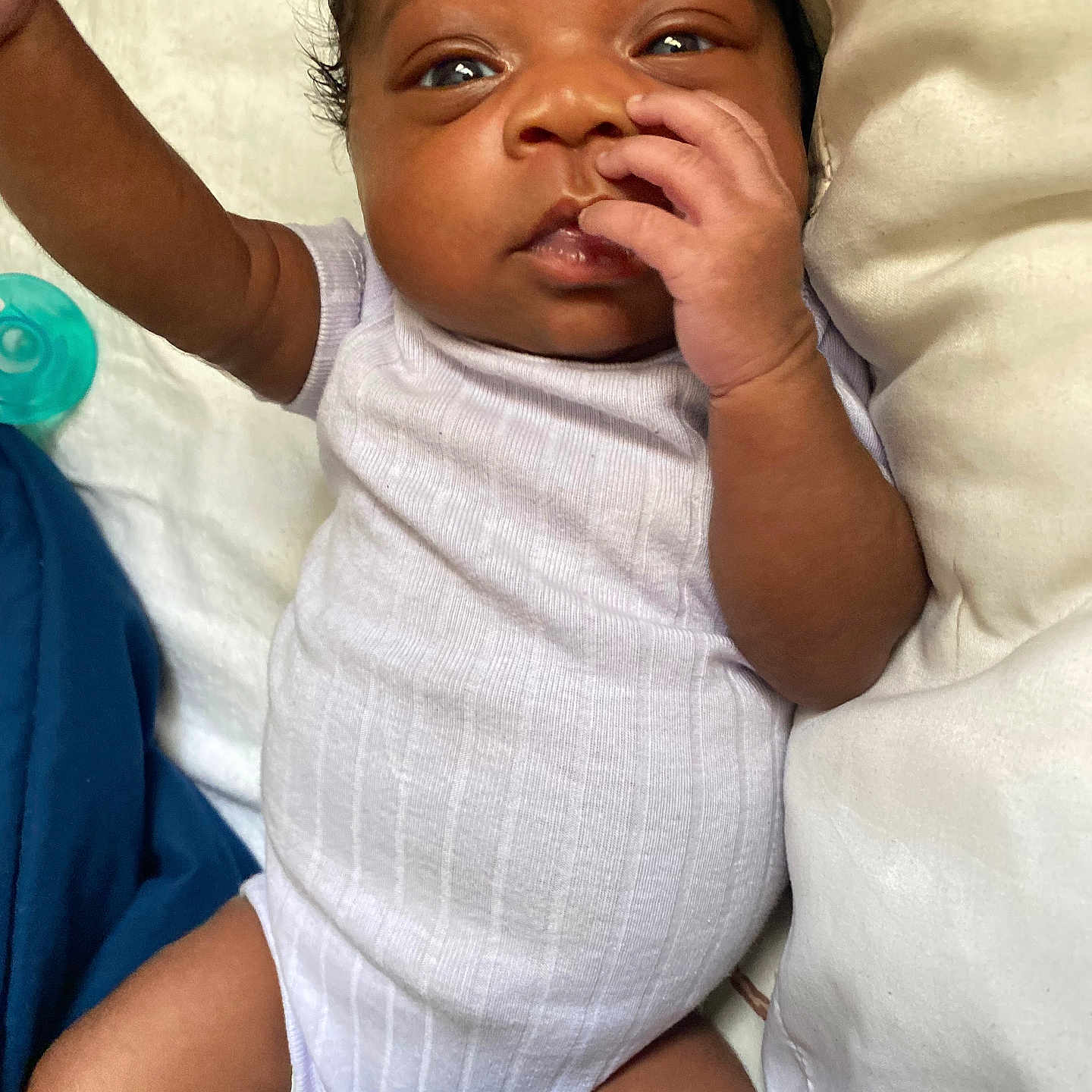 Terriney joined the competition — help win amazing prizes! architecture, baby, bed, bodypart, building, couch, cushion, face, finger, furniture, hand, happy, head, homedecor, hospital, newborn, person, photography, portrait, smile