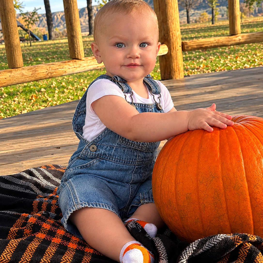 Waylon is registered to the contest to win money with this photo: baby, child, pumpkin, autumn, outdoor, playground, blanket, denim_overalls, smiling, portrait, sitting, park, fall, orange, wooden_structure, trees, grass, sunlight, infant, seasonal